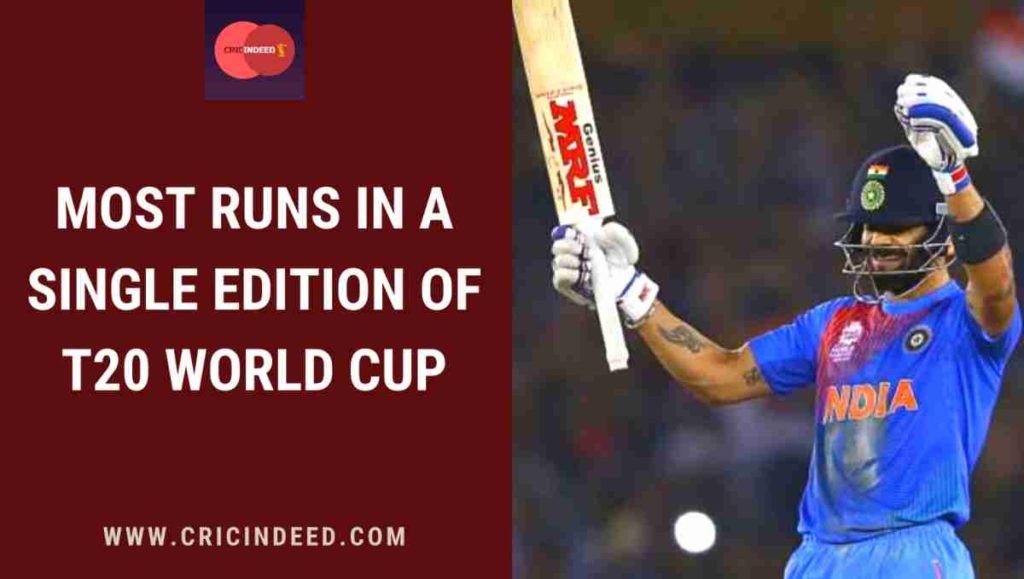 most runs in a single t20 world cup