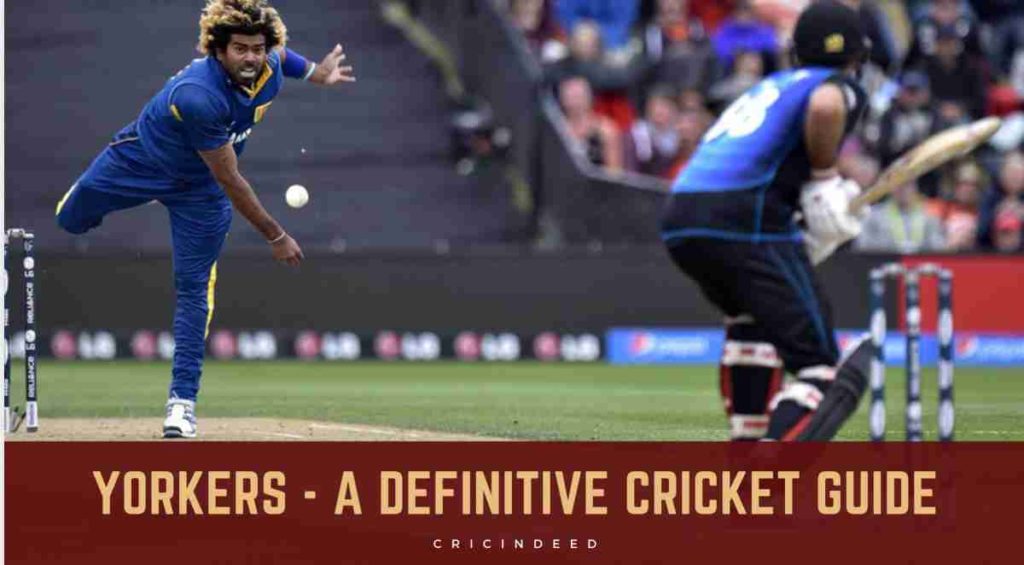yorkers in cricket explained