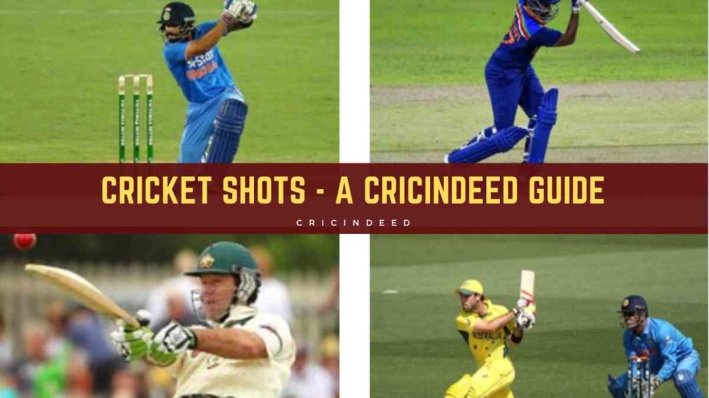different types of cricket shots with images
