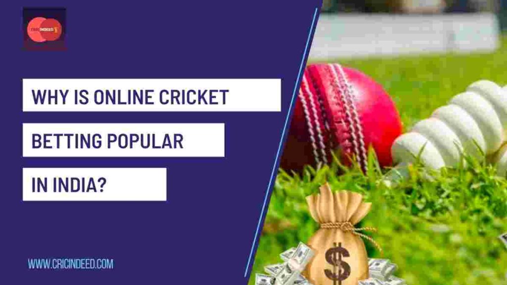 why is online cricket betting popular in india