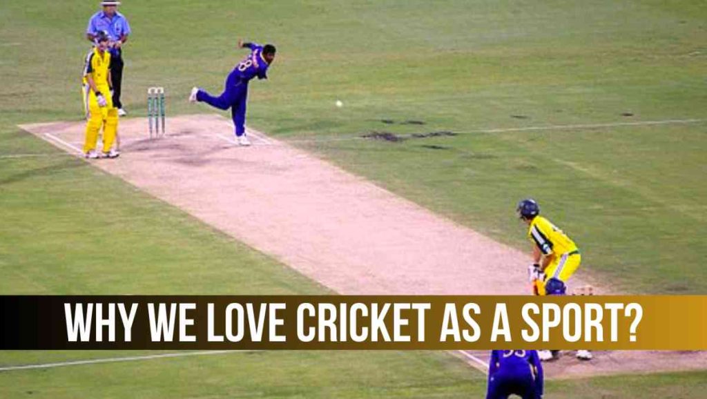 why we love cricket