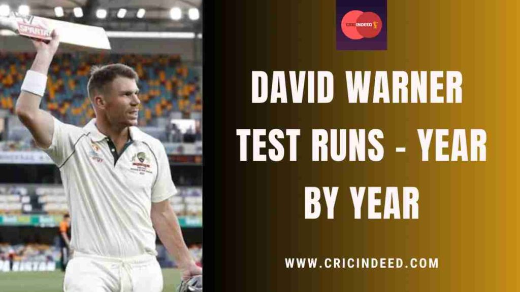 david warner test runs yearwise