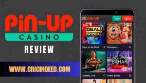 pin up casino review