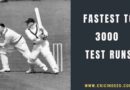 don bradman hitting a boundary