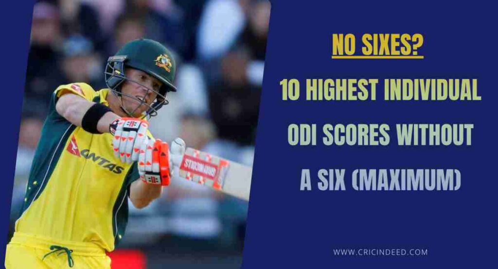 david warner scoring 173 without hitting a six in the innings