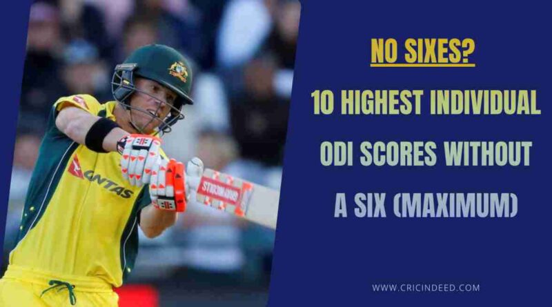 david warner scoring 173 without hitting a six in the innings